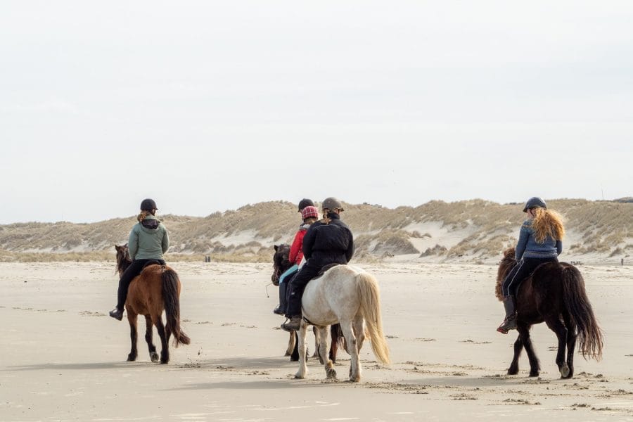 pony ride