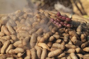 Boiled Peanuts