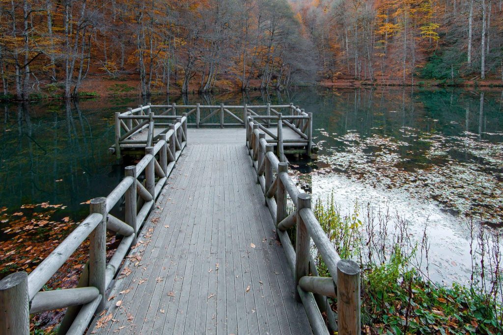 Kejimkujik National Park: Nature's Playground