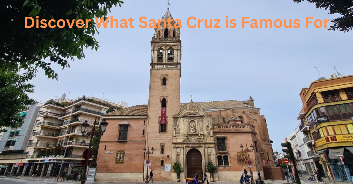 Discover What Santa Cruz is Famous For