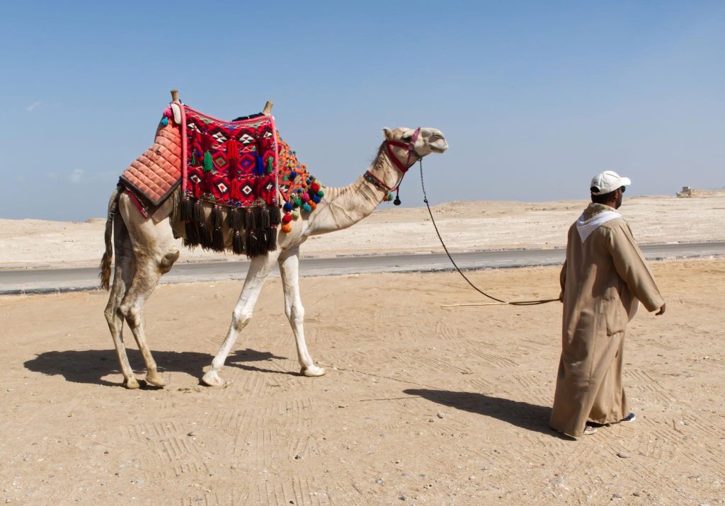 Bedouins: The Desert Dwellers