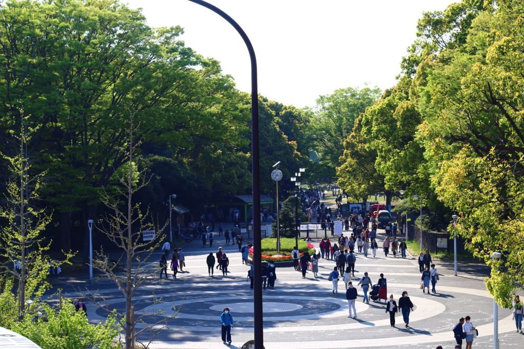 Stroll Through Yoyogi Park