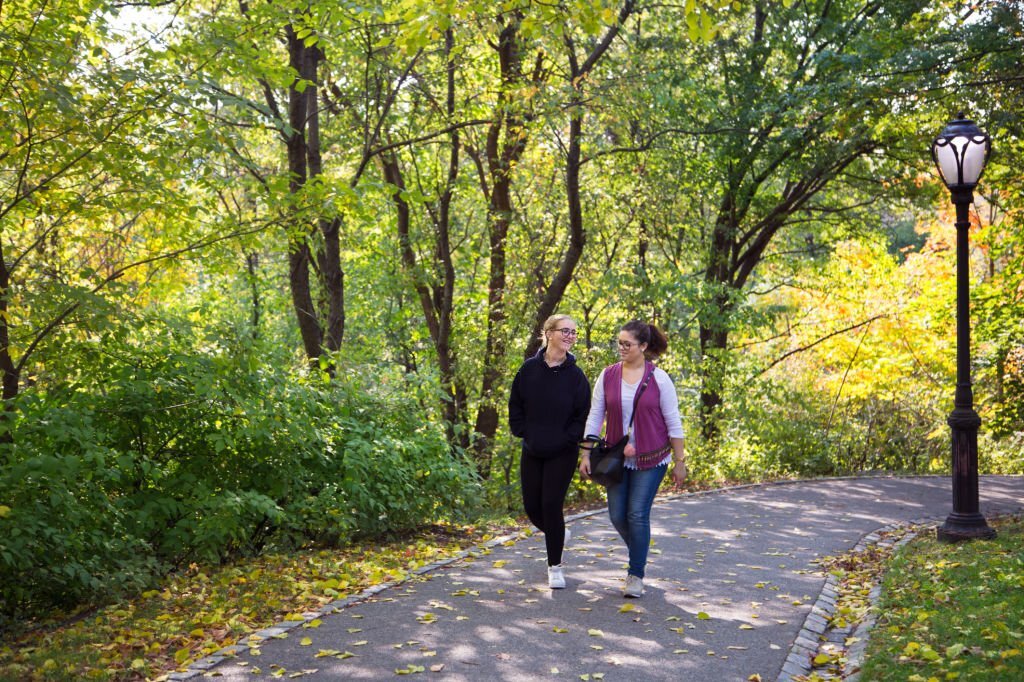 Walk Through Central Park