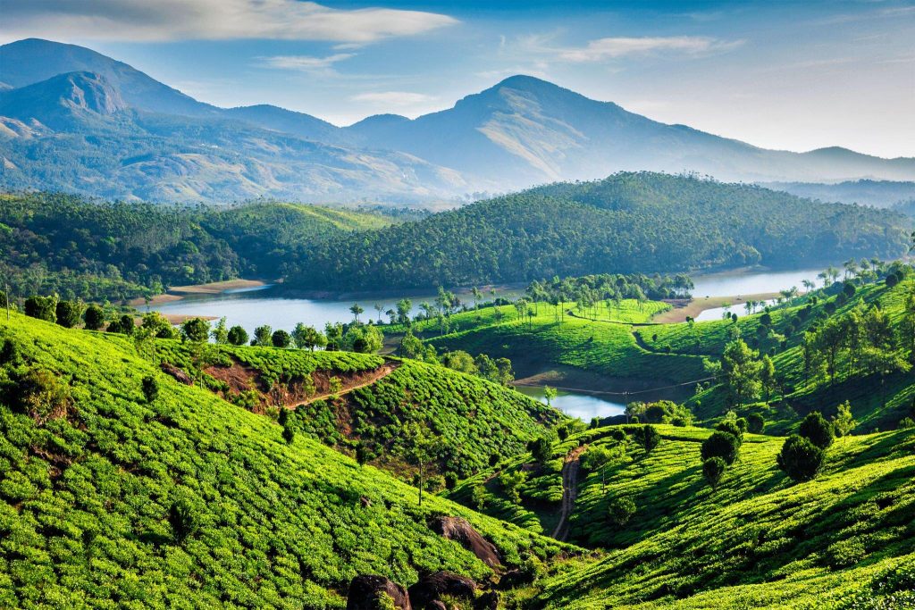 Why Kerala is Famous For: Culture, Cuisine, and Natural Beauty