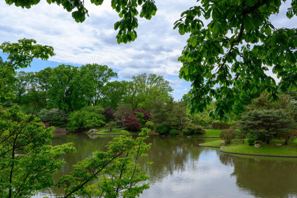 Immerse Yourself in the Missouri Botanical Oasis