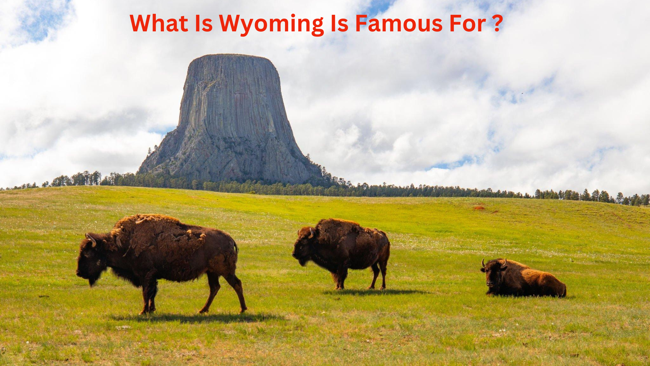What Is Wyoming Is Famous For