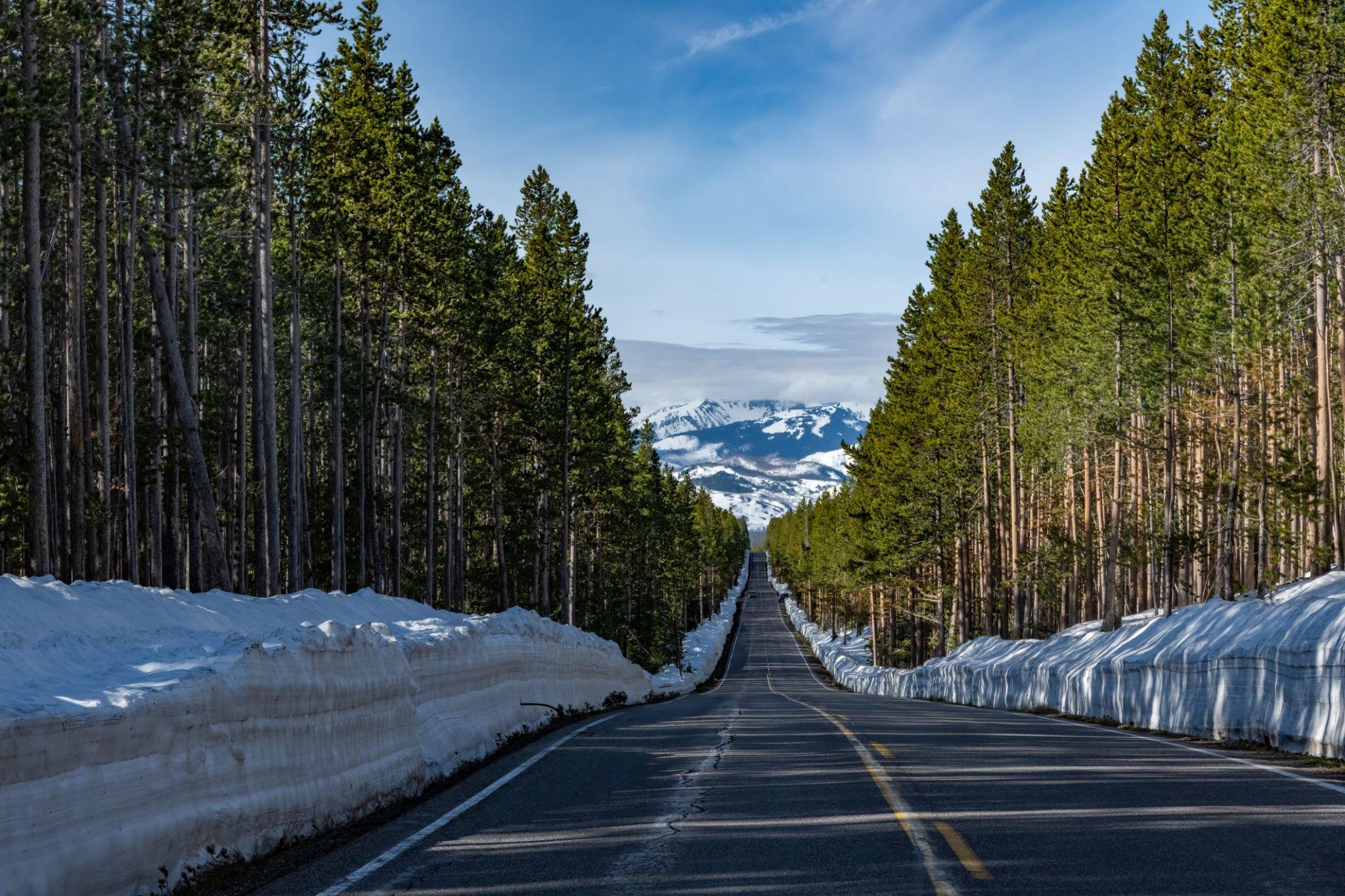 Yellowstone and Grand Teton National Parks