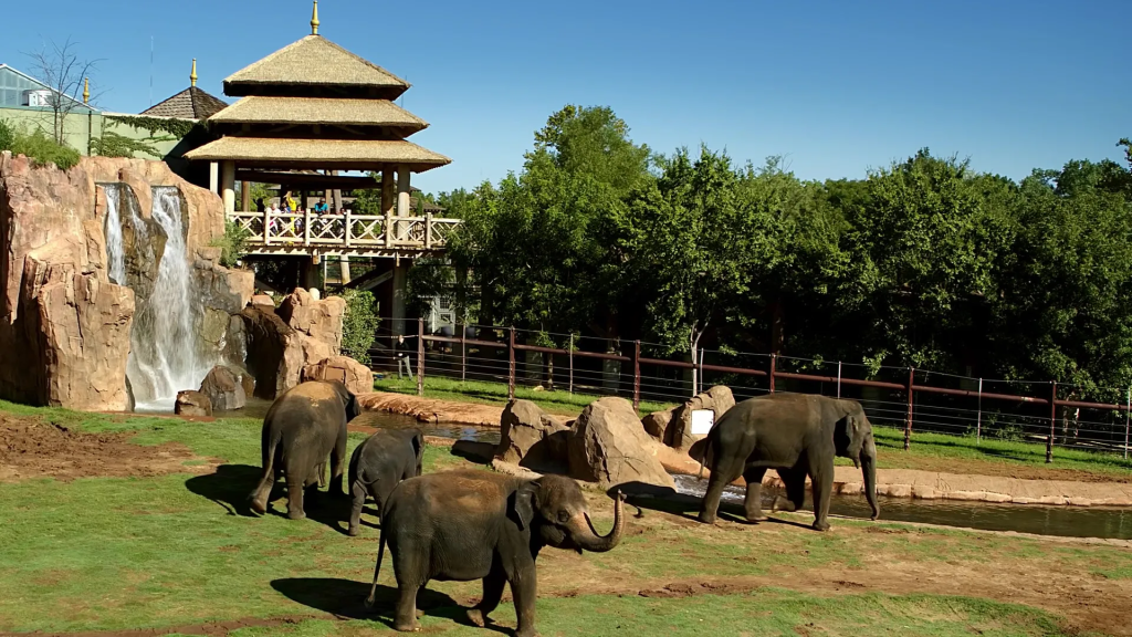 Oklahoma City Zoo: An Animal Lover's Paradise