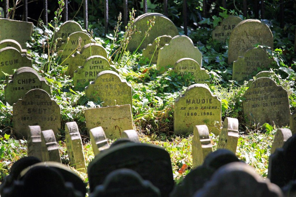 There is a pet cemetery at the Park