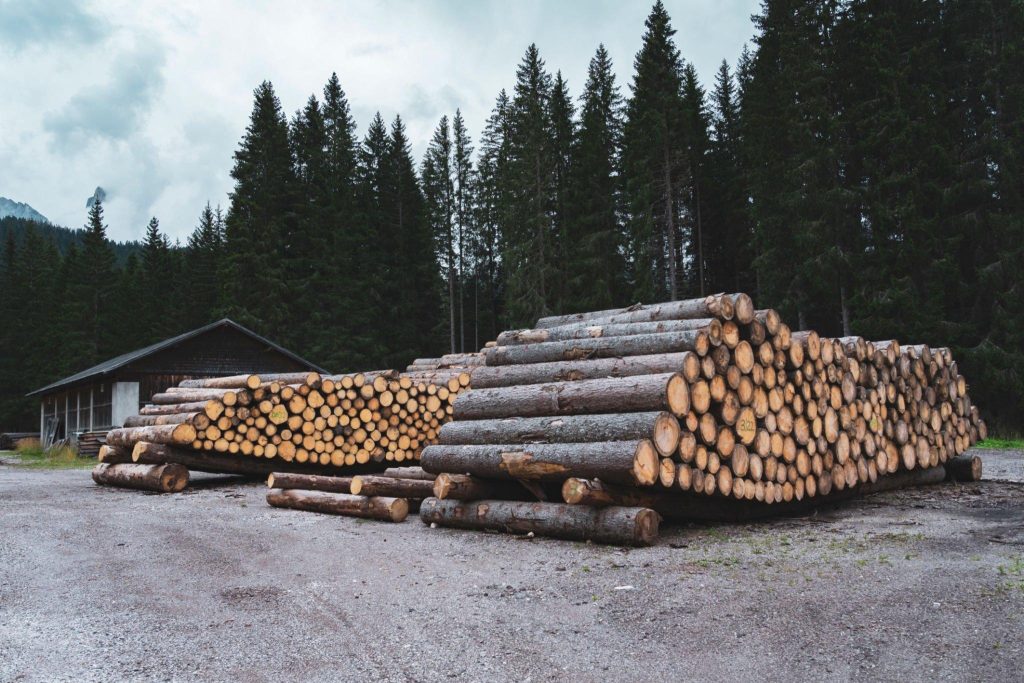 The Timber Production Business