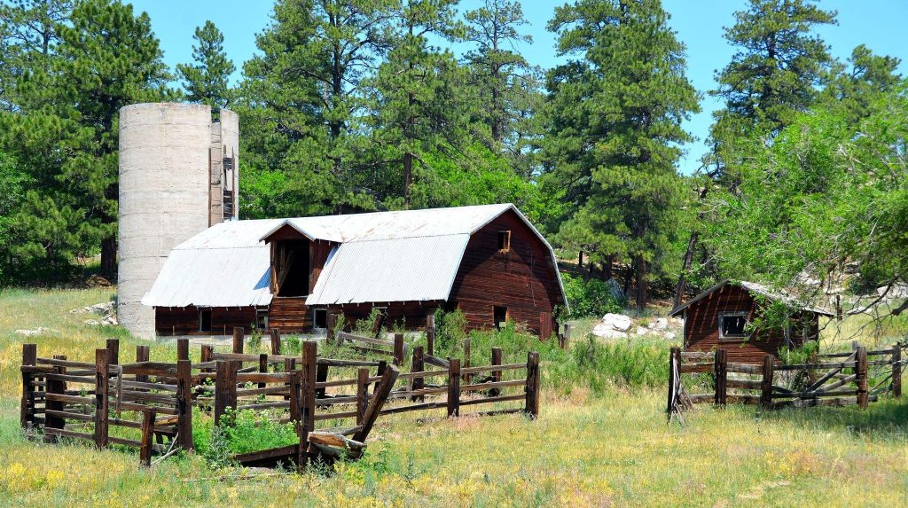 McClellan Ranch Preserve