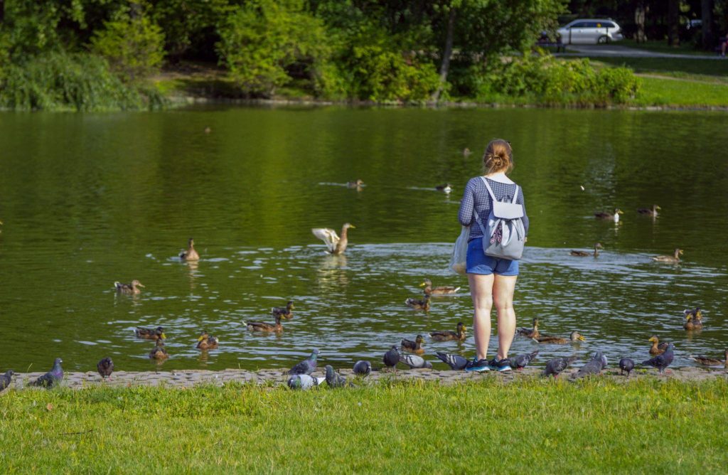 Birdwatching at Rooney Park