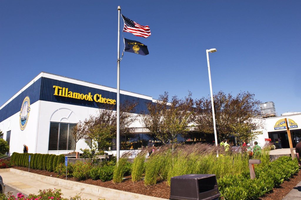 Tillamook Cheese