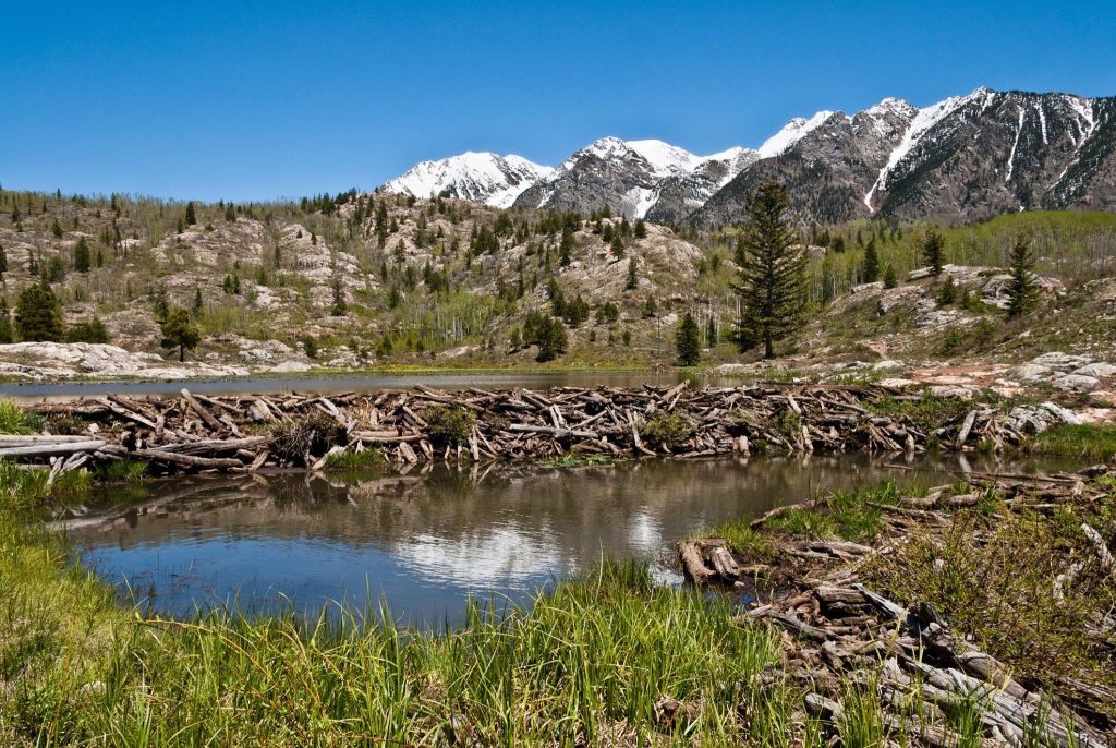 Beaver Tail State Park