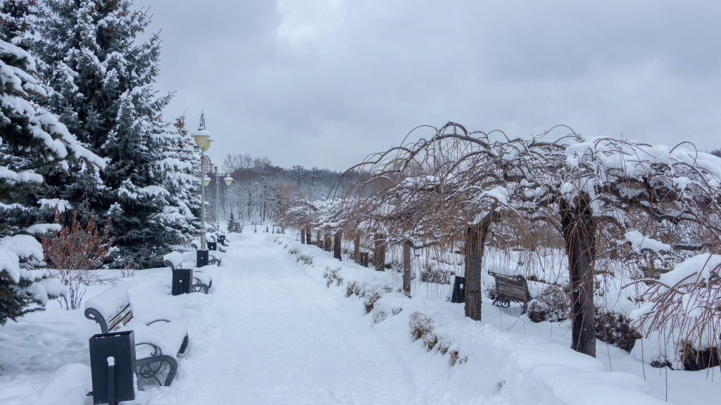 Winter Wonderland: Quebec's Snowy Charms