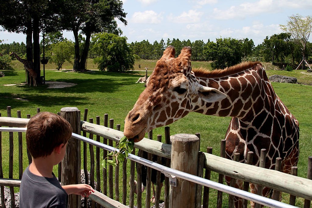 Visit the Montgomery Zoo