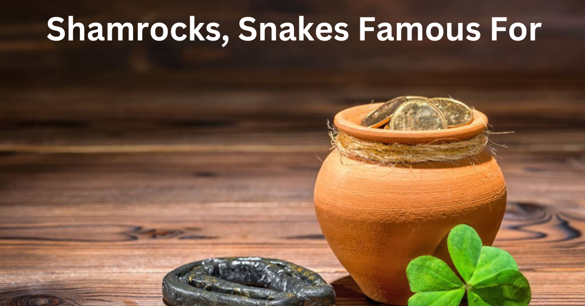 St. Patrick: Shamrocks, Snakes Famous For