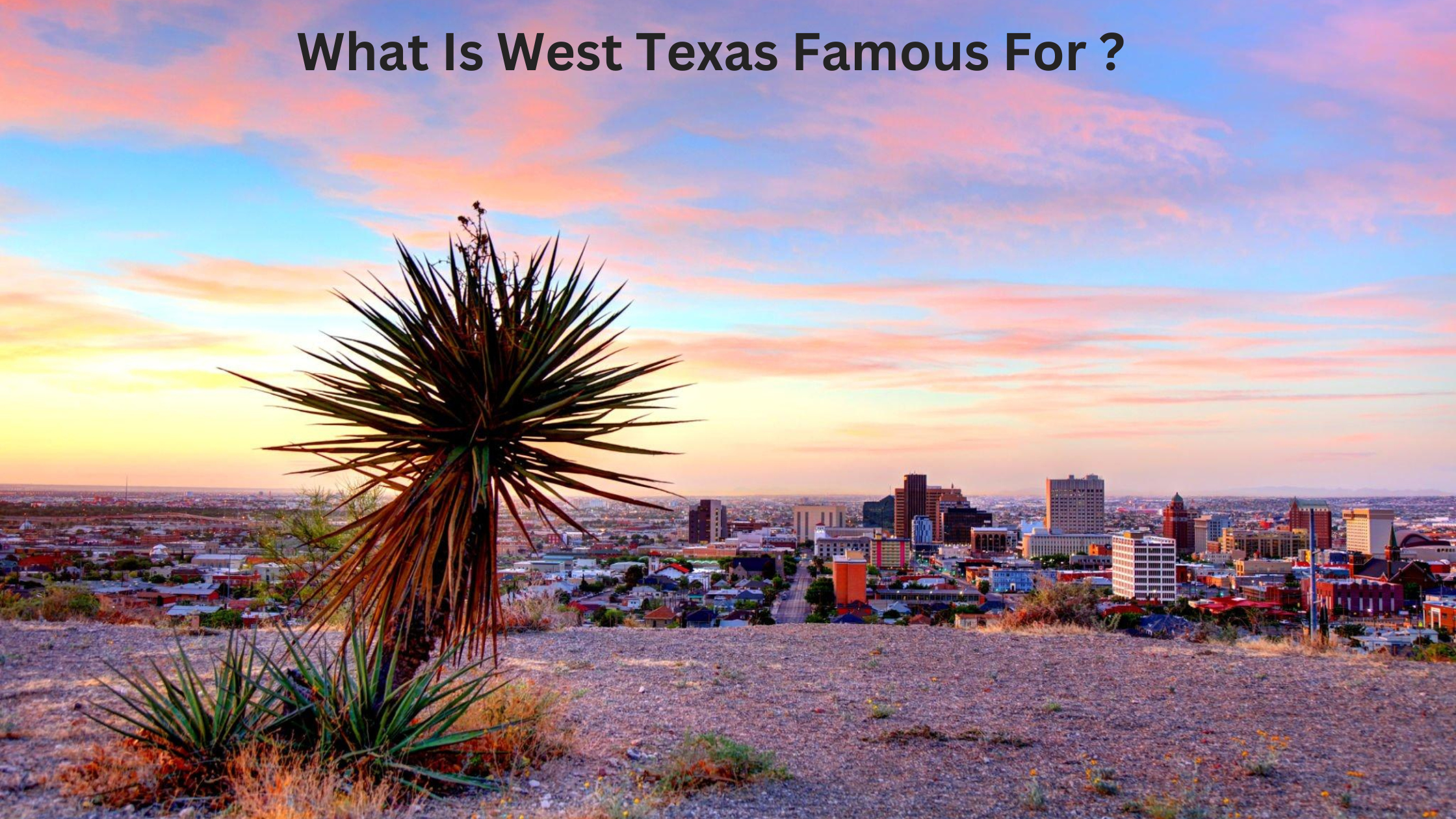 What Is West Texas Famous For