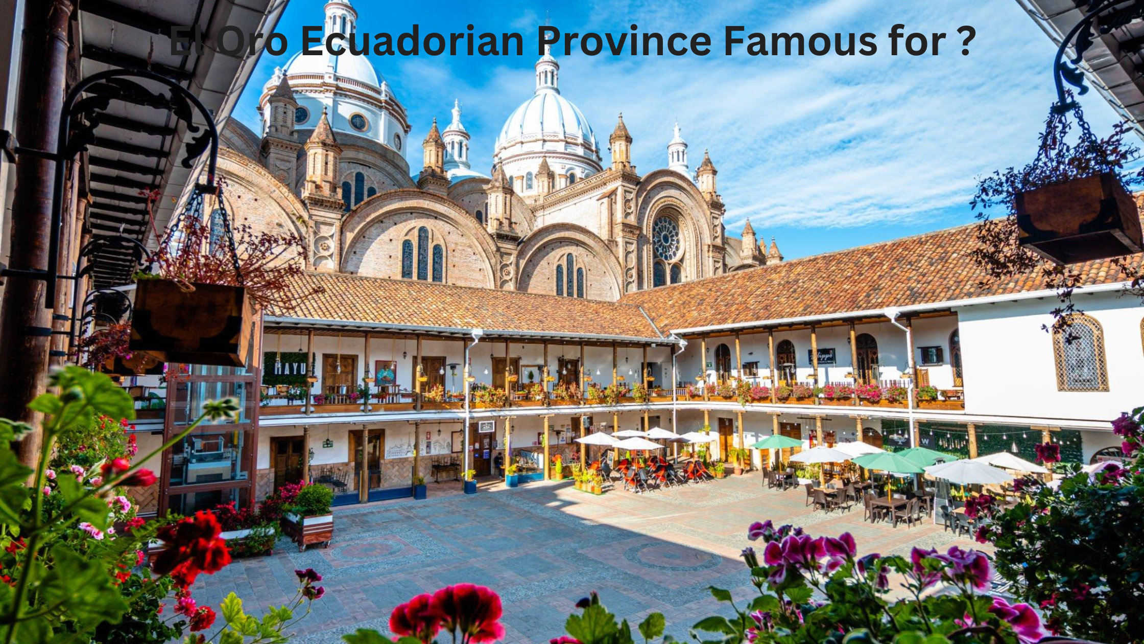 El Oro Ecuadorian Province Famous for