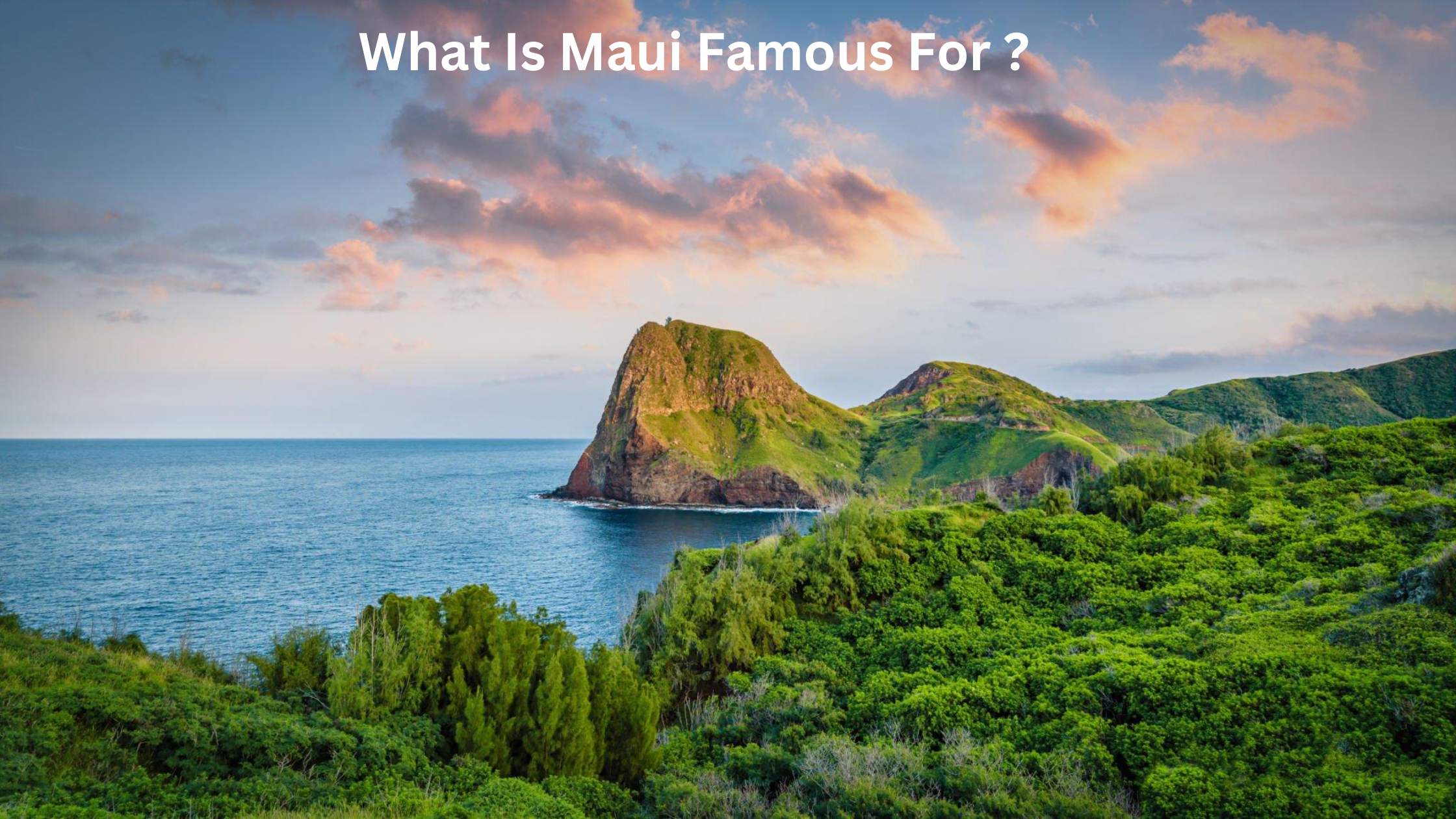 What Is Maui Famous For