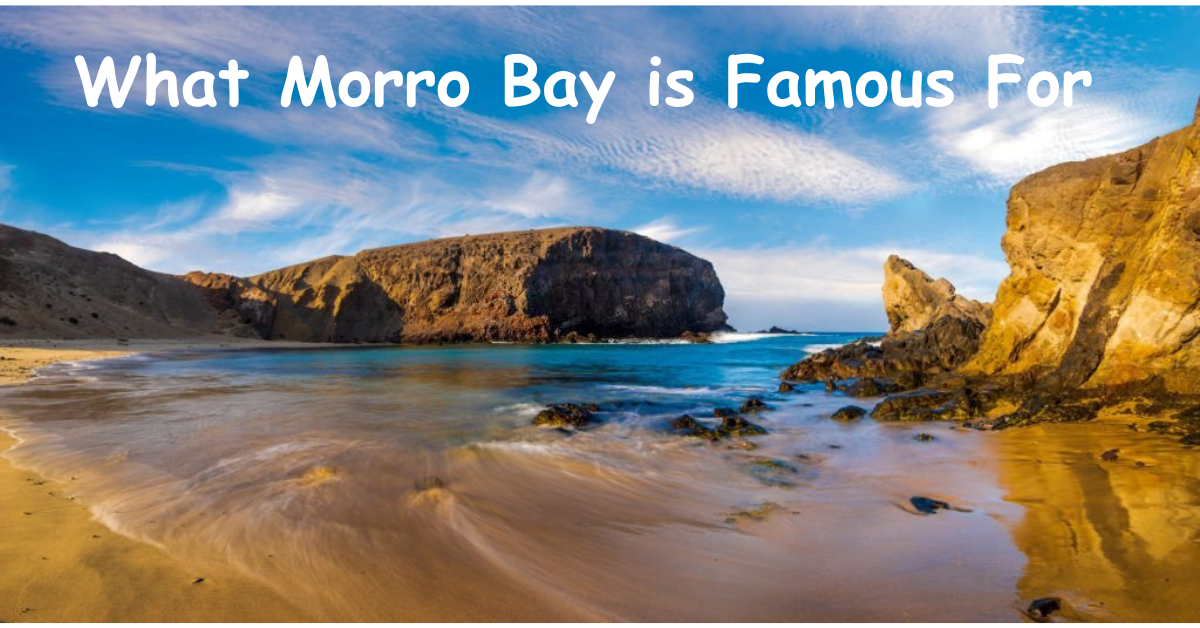 Discover What Morro Bay is Famous For