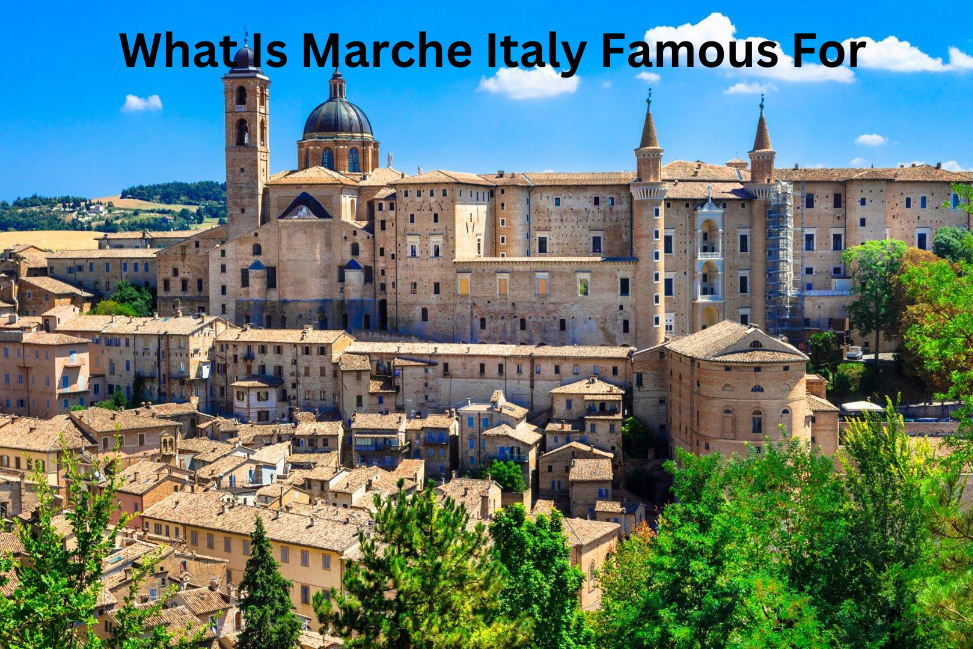 What Is Marche Italy Famous For