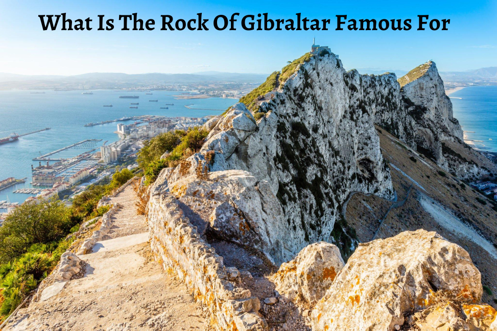 Exploring the Allure: What Is The Rock Of Gibraltar Famous For