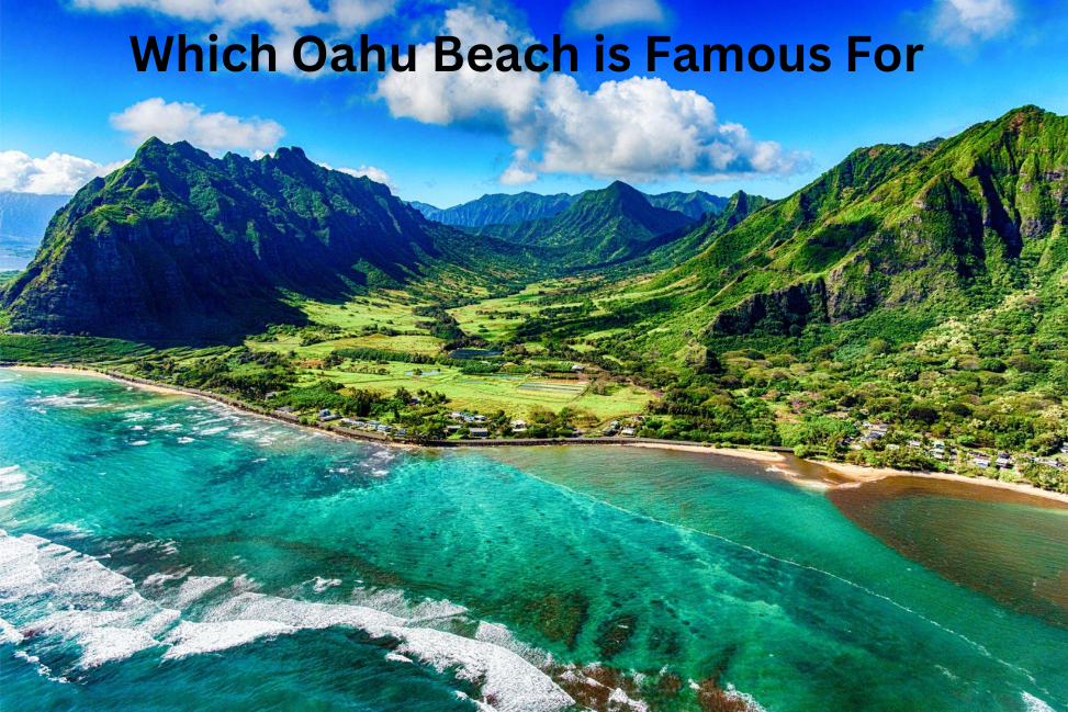 Which Oahu Beach is Famous For