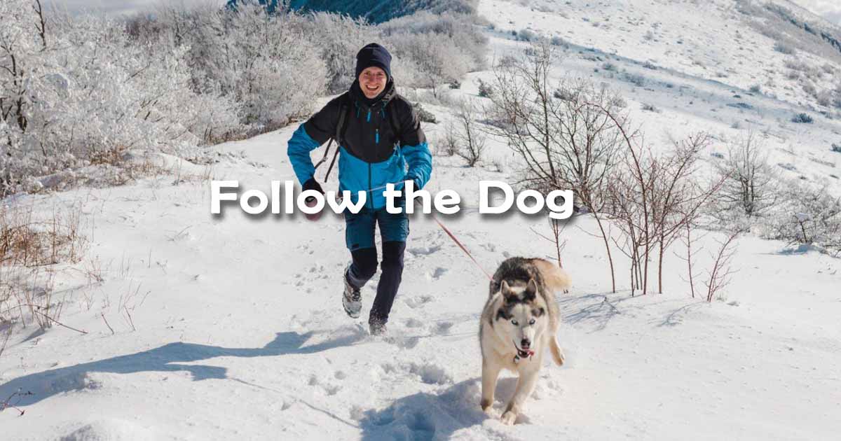 Follow the Dog