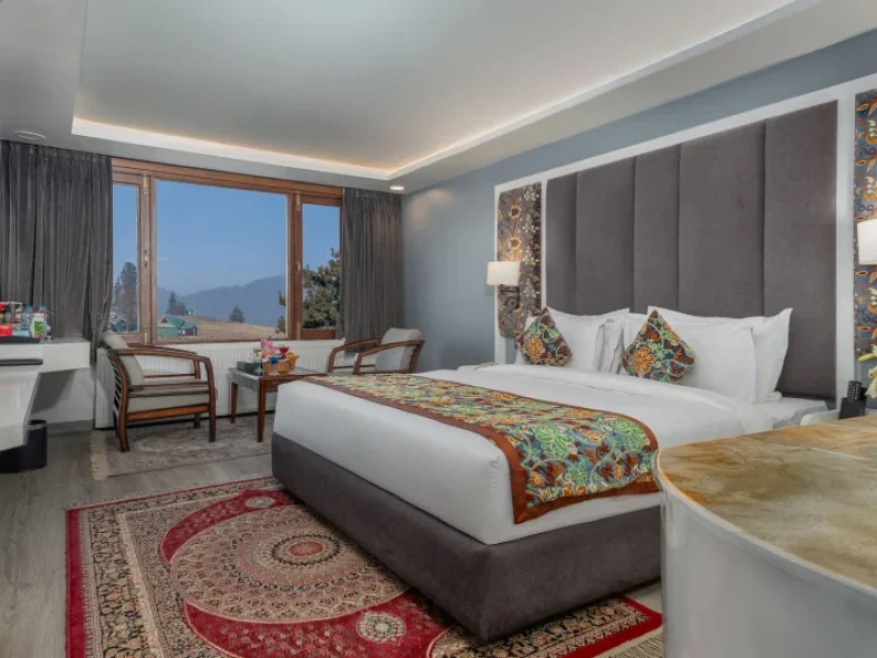 Gulmarg View Room