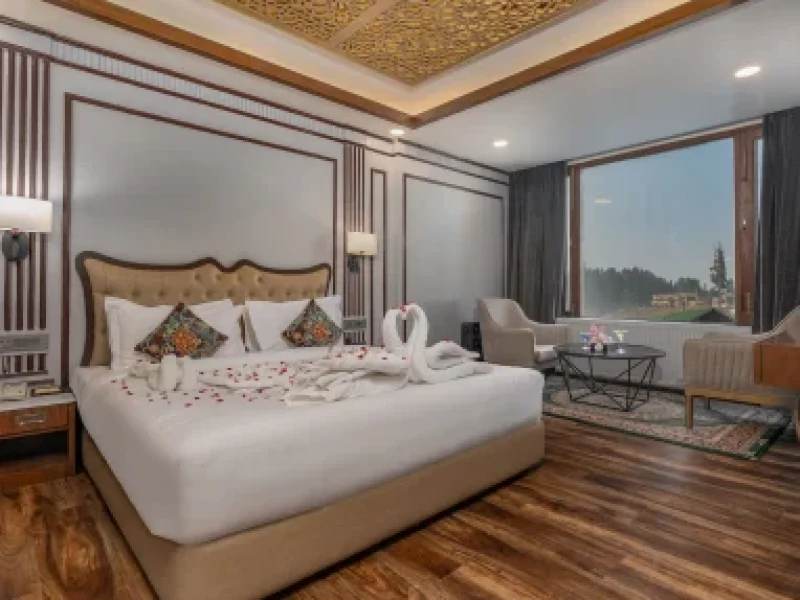 Mountain View Room