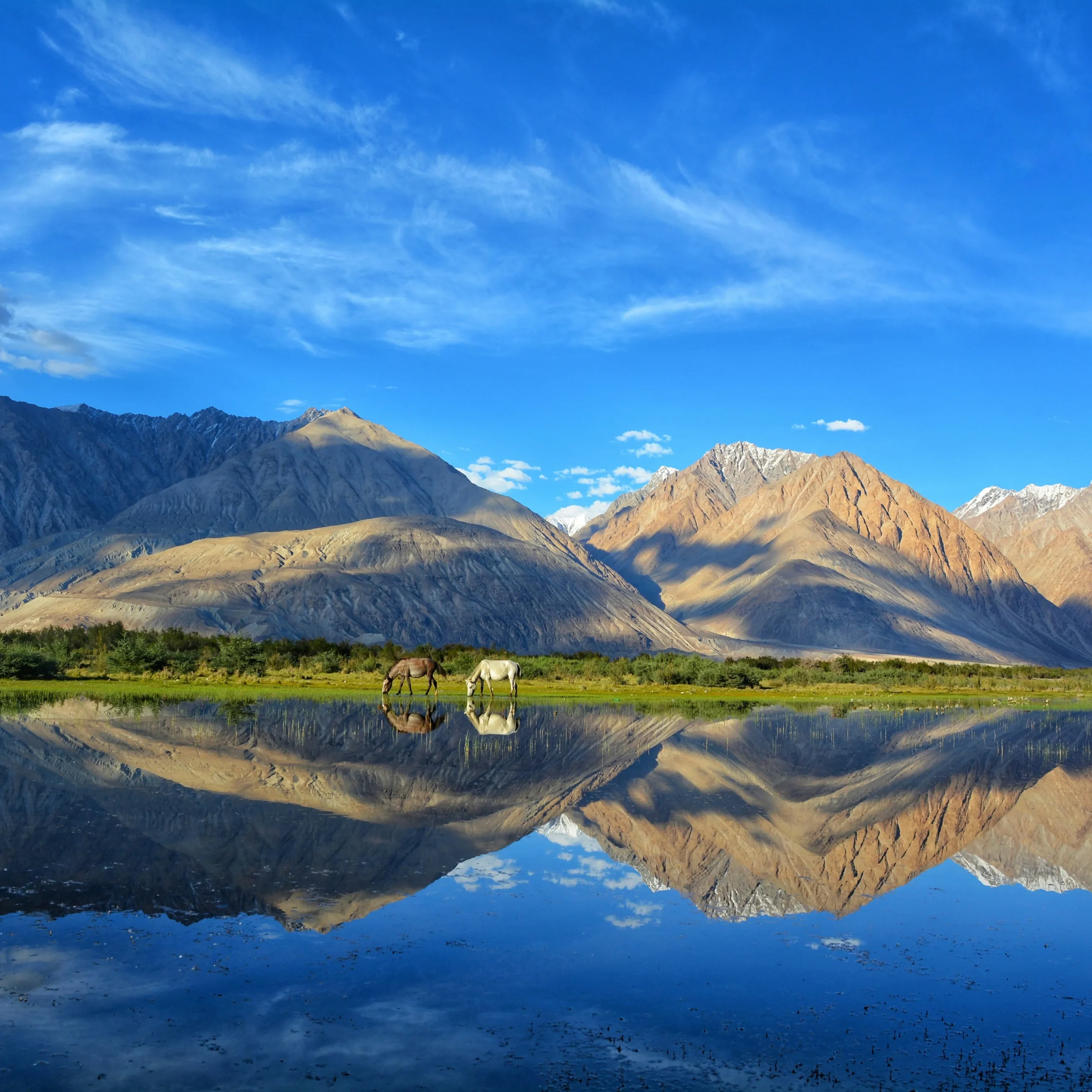 Ladakh