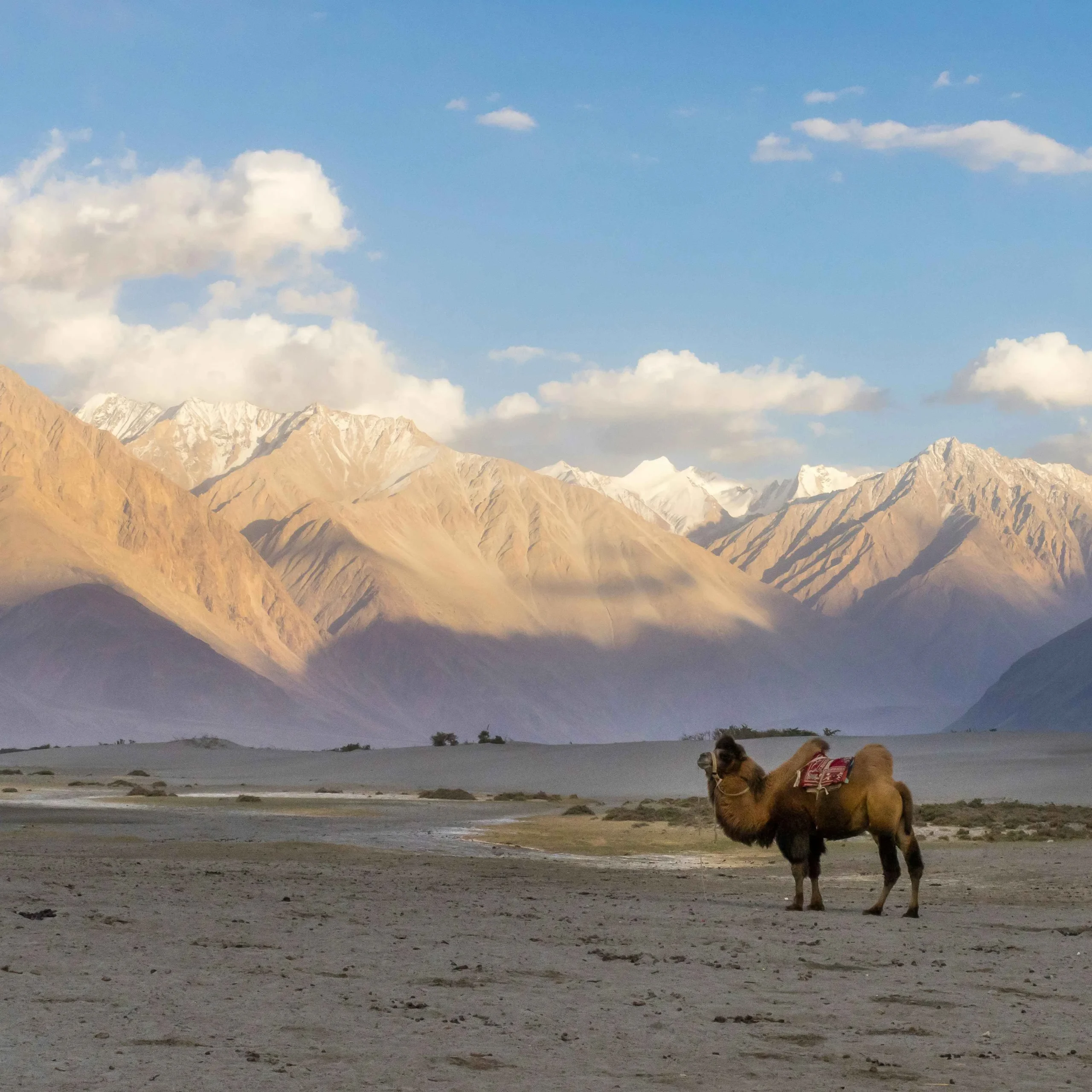 Pangong Tso