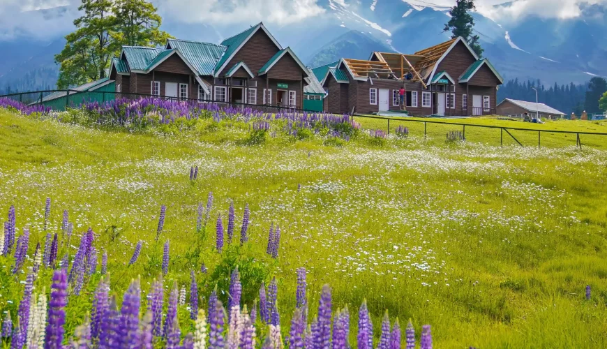 Kashmir 4 Nights 5 Days Tour Package