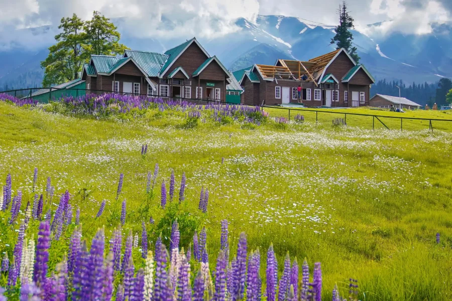 Kashmir 4 Nights 5 Days Tour Package
