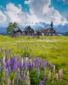 Kashmir scenery