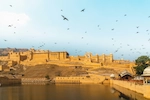 jaipure