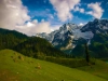 kashmir